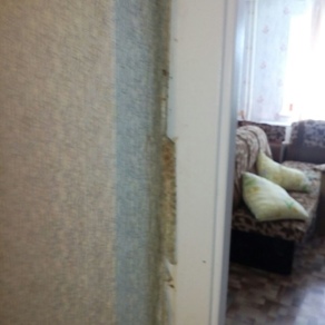 Уничтожение клопов в квартире с гарантией Калининград