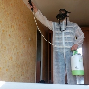 Уничтожение тараканов в квартире – цена в Калининграде