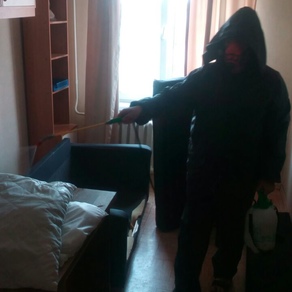 Уничтожение тараканов в квартире с гарантией в Калининграде